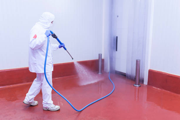 Best Paint Preparation  in Duncan, OK